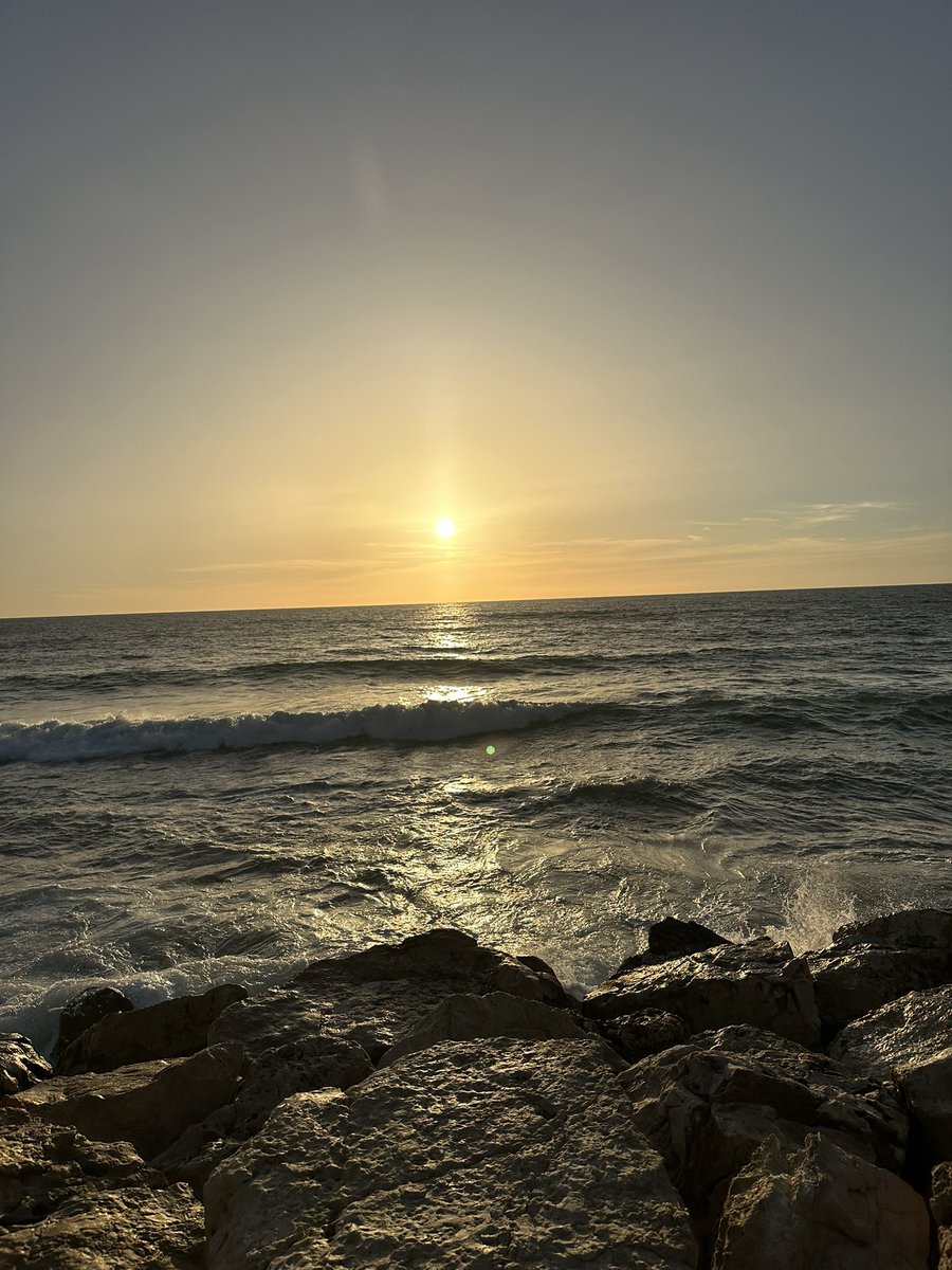 legen_eth's tweet photo. GM if you GM 🌞☕️ https://t.co/r8vul2kTtn