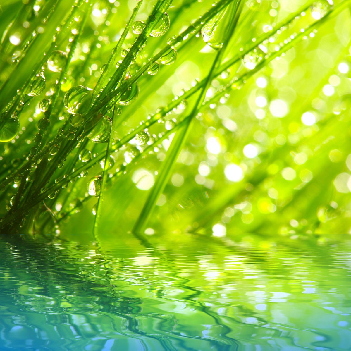🫧« Life will seem fresh and new and very different from what you are used to seeing. »
✨I received so many kind letters and comments about the changes I address in my June newsletter.
🔖Take a look — it’s a great addition to your forecast!
Direct link here: