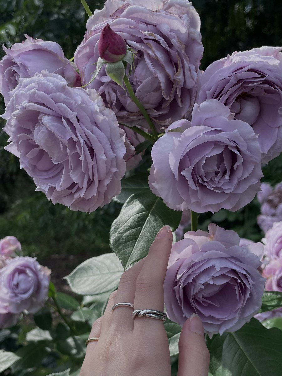 ๐บ๐ถ๐ฌ๐ช๐ฏ๐ข ๊ง๊ง๐๐๐๐๐๐๐๐ ๐ tweet media