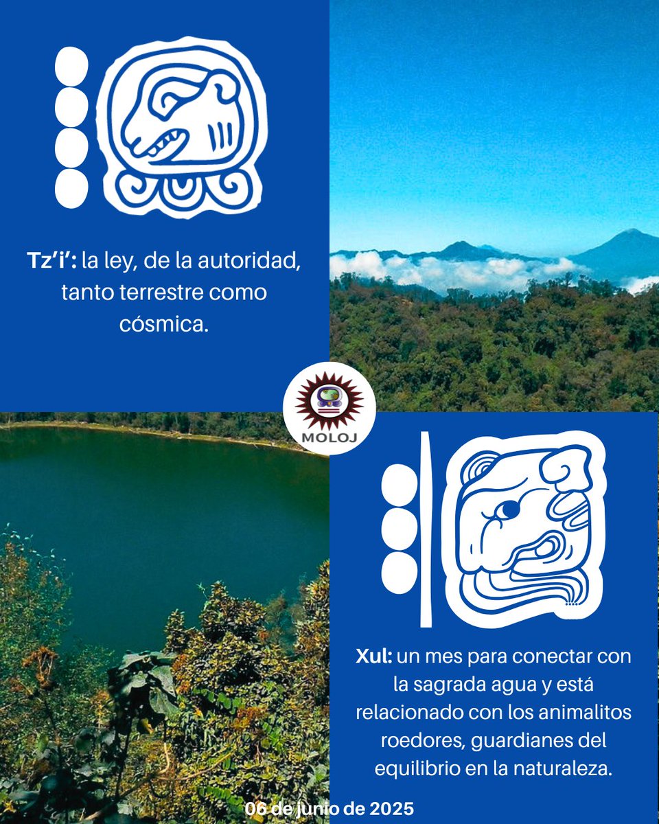 #Tzi 🐕| Caminamos por los senderos que recorrieron nuestras abuelas y abuelos, siempre firmes buscando la justicia ⚖️ digna para todas y todos.🔥✊🏽

#JusticiaParaLasMujeresIndígenas 
#senderos 
#espiritualidadmaya