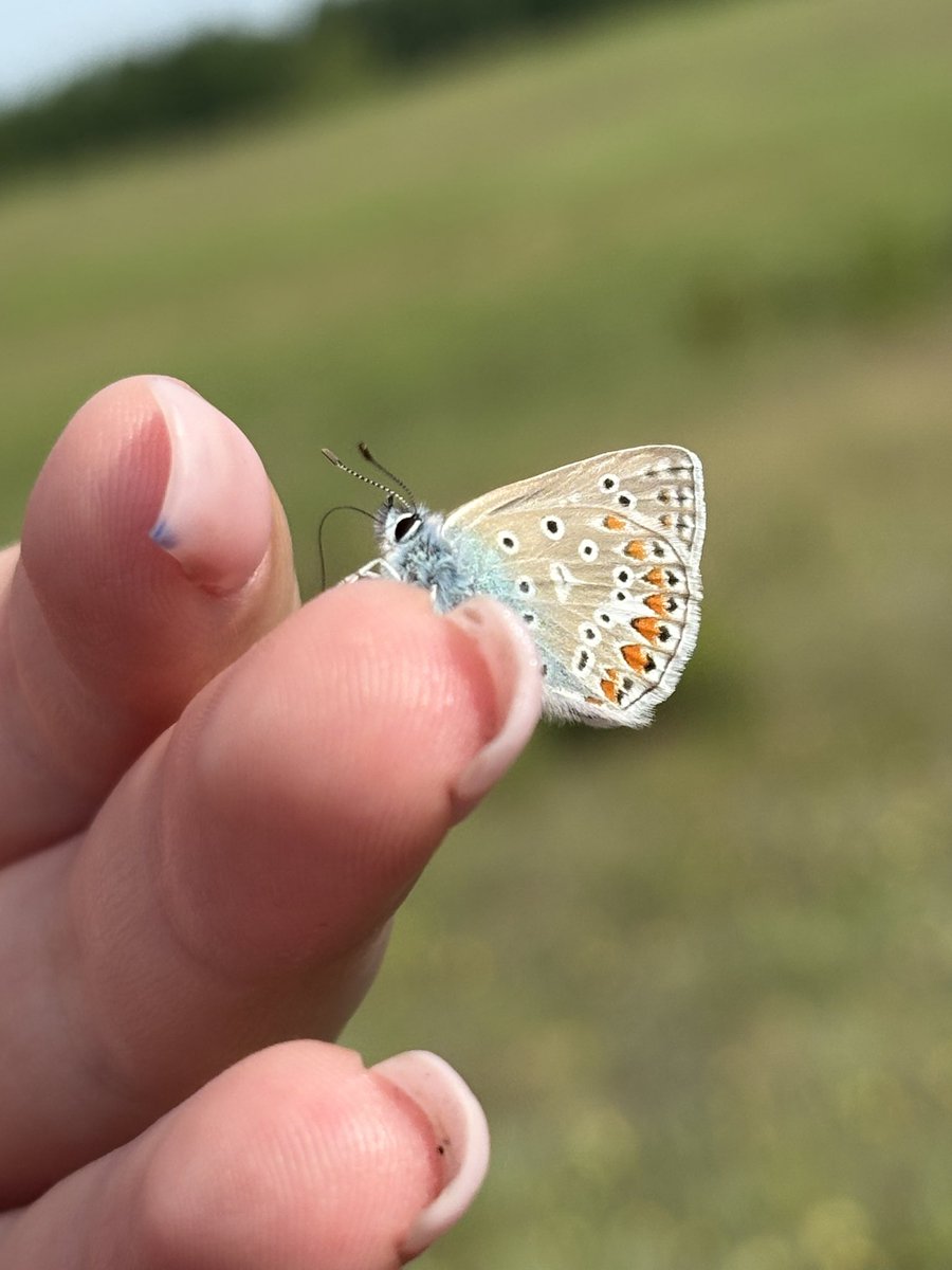 Spędziłam dziś czas z nowym znajomym ^^ 

Nazywa się Bartuś. 
Bartuś jest bardzo puchaty. 
Lubię Bartusia!

(grzebałam dziś w jeziorze sorry za moje brudne pazy ><)