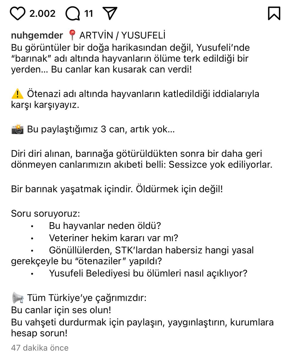 sleymannecip (@sleymannecip) on Twitter photo Nuhgemder paylaşmış. YUSUFELİ’de baraj sularından kurtulsunlar diye insanlar canla başla uğraştı. Ama sonuç? Barınağa gireni öldürmüşler. Bu arada çok önemli değil ama belediyenin hangi partiden olduğunu söylememe gerek yok dimi? <a href="/yusufelibeltr/">Yusufeli Belediyesi</a> Nuhgemder paylaşmış. YUSUFELİ’de baraj sularından kurtulsunlar diye insanlar canla başla uğraştı. Ama sonuç? Barınağa gireni öldürmüşler. Bu arada çok önemli değil ama belediyenin hangi partiden olduğunu söylememe gerek yok dimi? <a href="/yusufelibeltr/">Yusufeli Belediyesi</a>