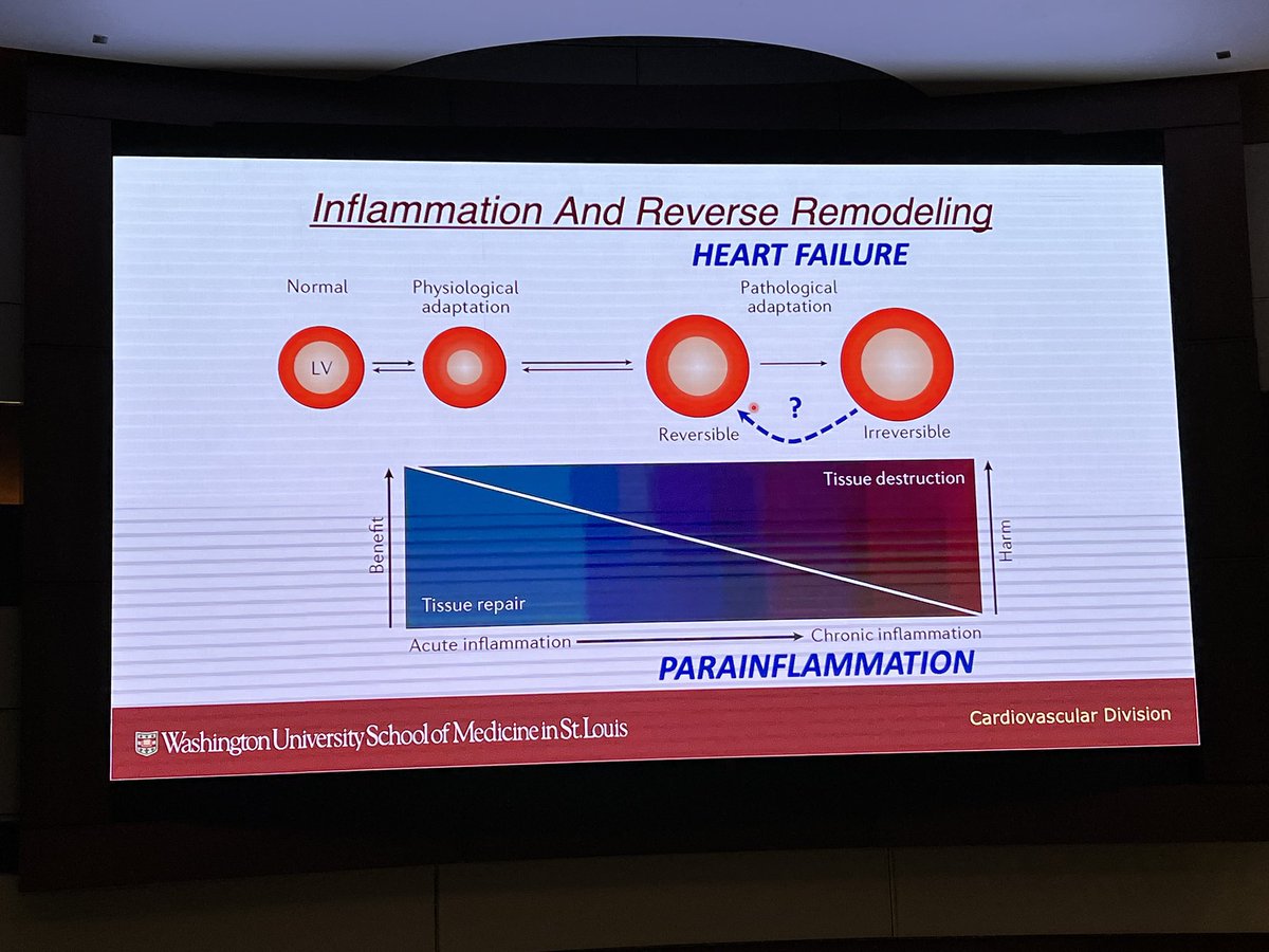 Chittur Sivaram (@casivaram1) on Twitter photo 🫀Second Annual Ralph Lazzara Lecture at OU today
🫀Featured speaker Dr. Sumanth Prabhu, Chief Cardiology Division at Wash U
🫀Outstanding discussion on “Inflammation & HF Revisited”
<a href="/OUCollegeofMed/">OU College of Medicine</a>
<a href="/DrDave01/">David E. Albert, M.D</a>
<a href="/ubcardio/">Usman Baber</a>
<a href="/StavrosStavrak1/">Stavros Stavrakis</a>
<a href="/JasonKatzMD/">Jason N. Katz</a>
<a href="/ShashankSinhaMD/">Shashank Sinha, MD, MSc, FACC, FAHA, FHFSA</a> 🫀Second Annual Ralph Lazzara Lecture at OU today
🫀Featured speaker Dr. Sumanth Prabhu, Chief Cardiology Division at Wash U
🫀Outstanding discussion on “Inflammation & HF Revisited”
<a href="/OUCollegeofMed/">OU College of Medicine</a>
<a href="/DrDave01/">David E. Albert, M.D</a>
<a href="/ubcardio/">Usman Baber</a>
<a href="/StavrosStavrak1/">Stavros Stavrakis</a>
<a href="/JasonKatzMD/">Jason N. Katz</a>
<a href="/ShashankSinhaMD/">Shashank Sinha, MD, MSc, FACC, FAHA, FHFSA</a>