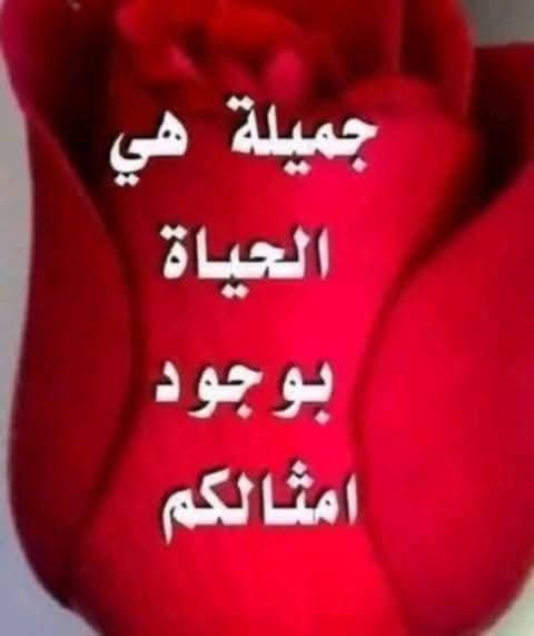 ابو احمد (@nar1790) on Twitter photo #مجموعة_عبدو_للدعم
#دعم_ابو_احمد
👑<a href="/7tttJ/">ᘓɹ̇ɹ̤jɺI g͠ᓄɹɹɹ</a>
🎗️<a href="/7rtrtr/"> ܩߺࡋߺܭܘ߳ إلا حساس👑</a>
👑<a href="/9rrgr/">لهــيب المــشـا؏ر❤️🔥</a>
🎗️<a href="/Ghi1D/">غـــــــــيداء 🌺</a>
👑<a href="/1_i_1i/">🔥🅰️ 🇩 🅰️ 🇲🔥</a>
🥇<a href="/1Reett/">𝒜ℬ𝒟𝒪</a>
🥇<a href="/1qqmr/">𝓦𝓐𝓐𝓓</a>
🥇<a href="/8ot2_/">¡ 𝐚𝗵𝐌𝐚𝚍 🇯🇴 مقيد ٣⛔</a>
🥇<a href="/nar1790/">ابو احمد</a>
<a href="/12ZZZ22/">دختور🔥🔥</a>
<a href="/NNjjoo447/">نور من السماء 🕳️</a>
<a href="/byrm38196/">القبطان 👮</a>
<a href="/Sophia56891/">Sophia</a>
<a href="/FlorMeninnaa/">Regina 🍭🍬</a>
<a href="/11__A1_/">🇵🇸🅝🅘🅓🅐🅛🇹🇷</a>
<a href="/V13lula/">Karen Lúcia♀️🚩🌵</a>
<a href="/Ha_ze_l_1/">𝐇𝐚𝐙𝐞𝐥 ❀֟፝֟፝͜͜͡͡͡💕 ⃝ 𝆺𝅥⃝</a>
<a href="/zahratalr1/">زهرةالربيع🇶🇦</a>
<a href="/yangzhun/">سوما 23</a>
<a href="/mrm2181/">مرام</a>
<a href="/sai98115/">عــابــر سبــيـل ✍️</a>
<a href="/qr51324/">اصقر</a>
<a href="/uxu90x/">د صباح 650</a>
<a href="/i2i2i2i/">𝒄𝒐𝒇𝒇𝒆𝒆☕︎..</a> #مجموعة_عبدو_للدعم
#دعم_ابو_احمد
👑<a href="/7tttJ/">ᘓɹ̇ɹ̤jɺI g͠ᓄɹɹɹ</a>
🎗️<a href="/7rtrtr/"> ܩߺࡋߺܭܘ߳ إلا حساس👑</a>
👑<a href="/9rrgr/">لهــيب المــشـا؏ر❤️🔥</a>
🎗️<a href="/Ghi1D/">غـــــــــيداء 🌺</a>
👑<a href="/1_i_1i/">🔥🅰️ 🇩 🅰️ 🇲🔥</a>
🥇<a href="/1Reett/">𝒜ℬ𝒟𝒪</a>
🥇<a href="/1qqmr/">𝓦𝓐𝓐𝓓</a>
🥇<a href="/8ot2_/">¡ 𝐚𝗵𝐌𝐚𝚍 🇯🇴 مقيد ٣⛔</a>
🥇<a href="/nar1790/">ابو احمد</a>
<a href="/12ZZZ22/">دختور🔥🔥</a>
<a href="/NNjjoo447/">نور من السماء 🕳️</a>
<a href="/byrm38196/">القبطان 👮</a>
<a href="/Sophia56891/">Sophia</a>
<a href="/FlorMeninnaa/">Regina 🍭🍬</a>
<a href="/11__A1_/">🇵🇸🅝🅘🅓🅐🅛🇹🇷</a>
<a href="/V13lula/">Karen Lúcia♀️🚩🌵</a>
<a href="/Ha_ze_l_1/">𝐇𝐚𝐙𝐞𝐥 ❀֟፝֟፝͜͜͡͡͡💕 ⃝ 𝆺𝅥⃝</a>
<a href="/zahratalr1/">زهرةالربيع🇶🇦</a>
<a href="/yangzhun/">سوما 23</a>
<a href="/mrm2181/">مرام</a>
<a href="/sai98115/">عــابــر سبــيـل ✍️</a>
<a href="/qr51324/">اصقر</a>
<a href="/uxu90x/">د صباح 650</a>
<a href="/i2i2i2i/">𝒄𝒐𝒇𝒇𝒆𝒆☕︎..</a>