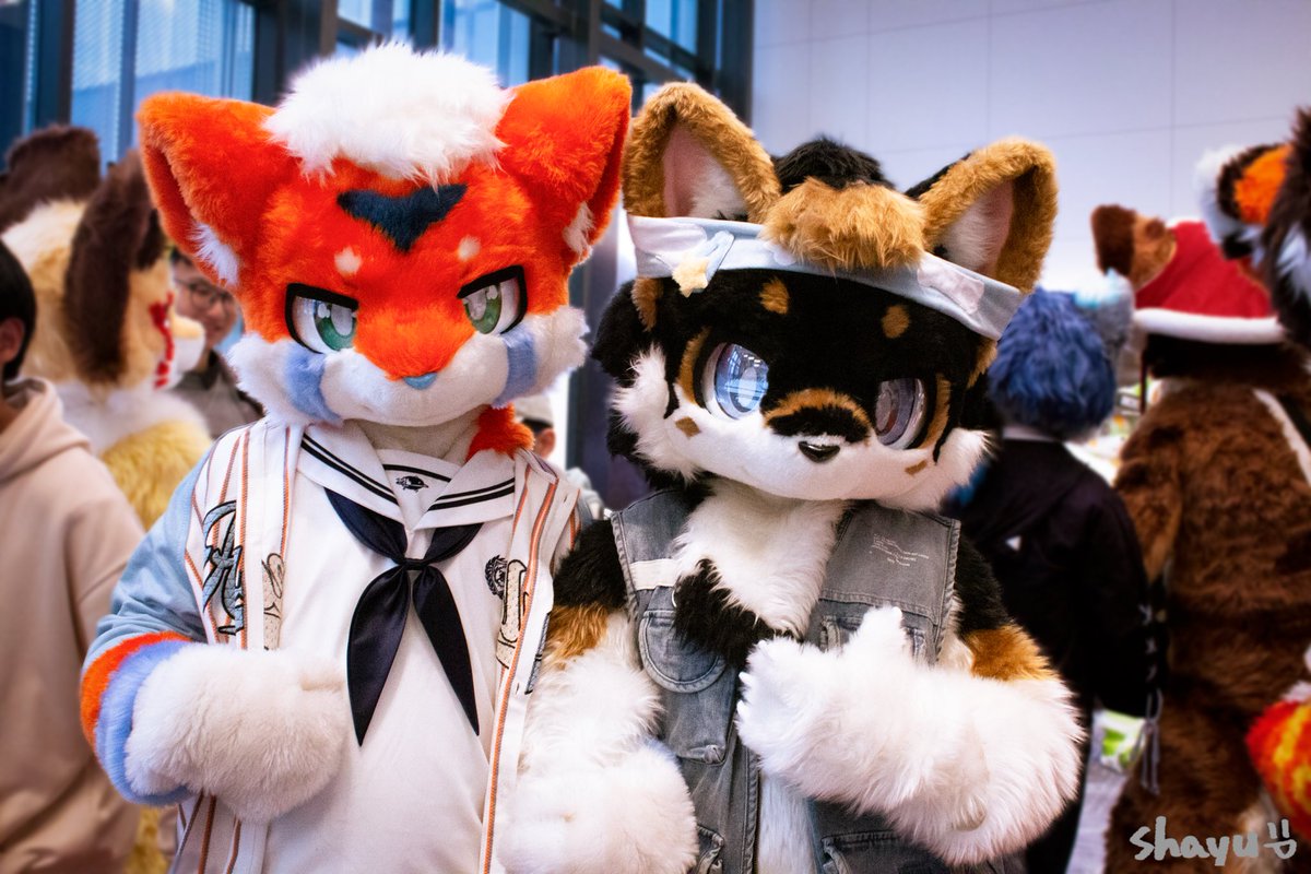 快看看我们！快看看
#FursuitFriday
：<a href="/mokaooa/">弥卡 リュウ</a> 
📷：shayu