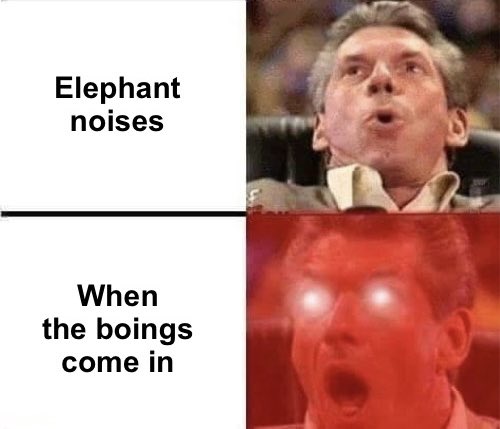 martin brennan tweet media