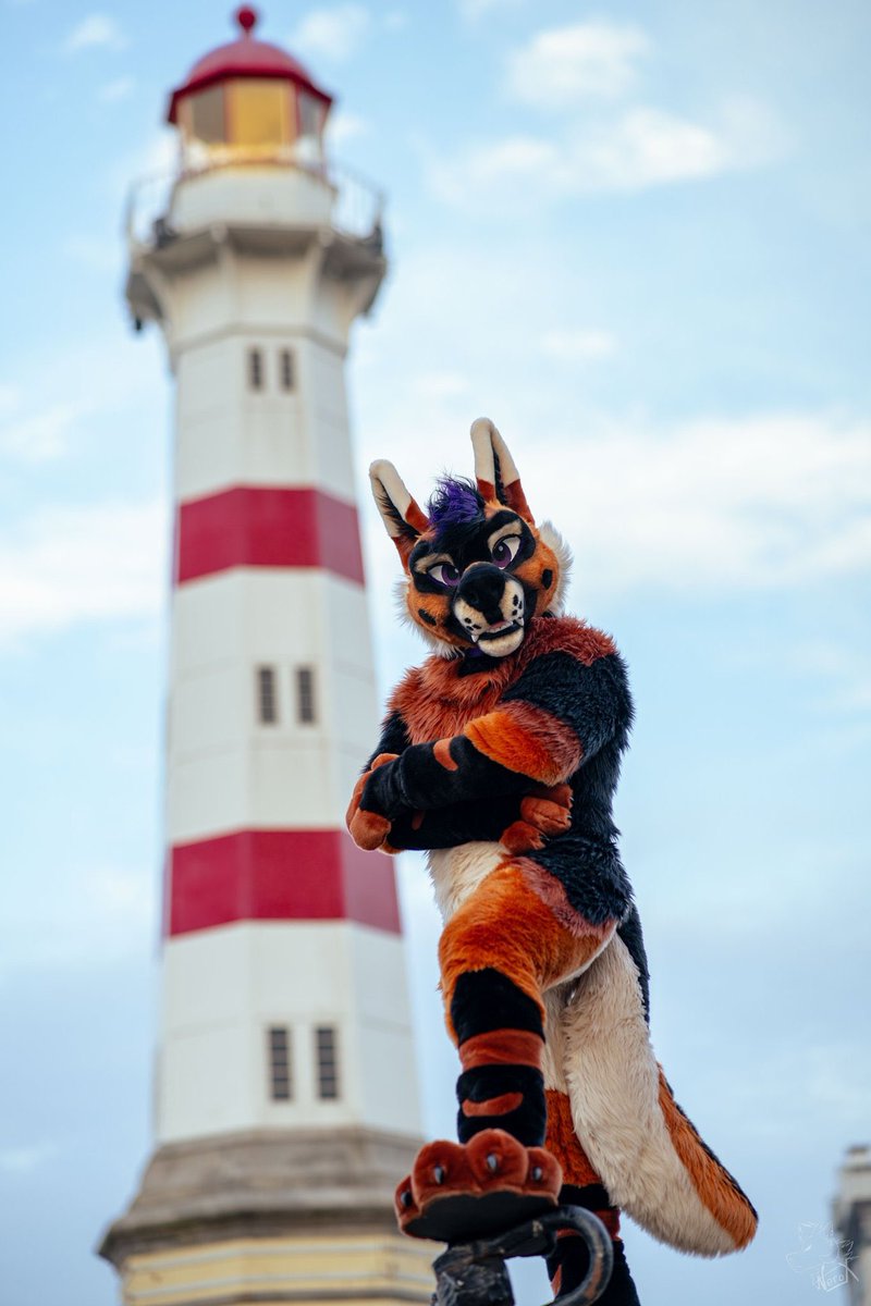 A cozy night of cuddles in the lighthouse doesn’t sound too bad at all, does it?

Happy #FursuitFriday guys 💜🥰

📸: <a href="/fur_nerox/">Nerox</a> 
🪡: <a href="/MadeFurYou/">Made Fur You</a>