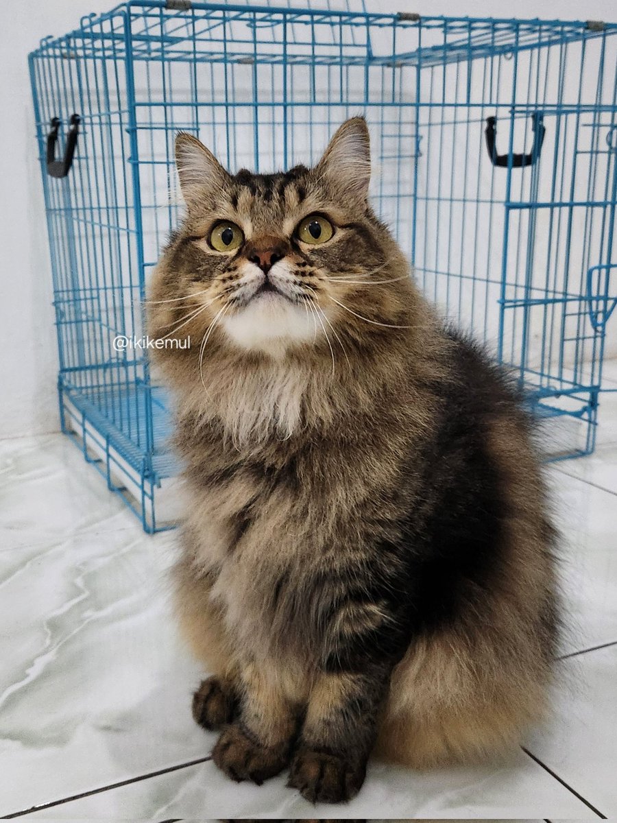 leher kamu mana ndut???