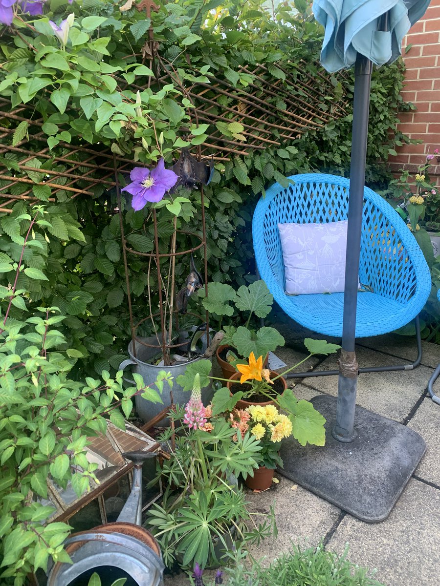 Latest plants 🪴 been out the loop for a while ☹️ hope your all ok 😁