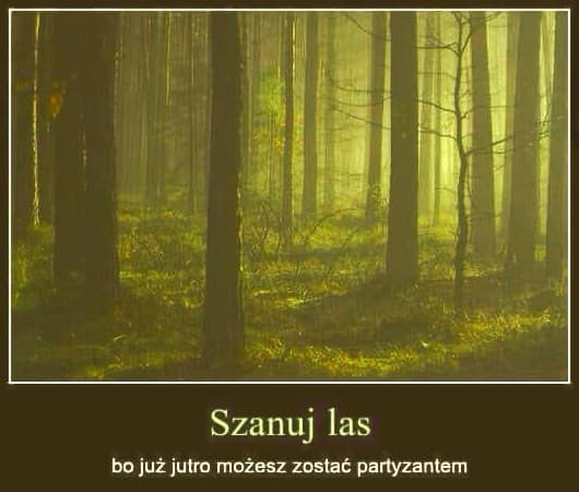 oj! szanuję, szanuję...