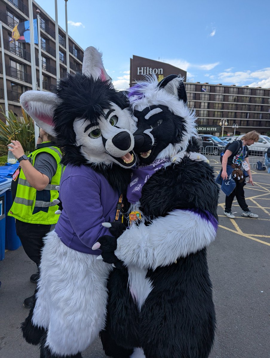 Chaga (@chagafoxlion) on Twitter photo 