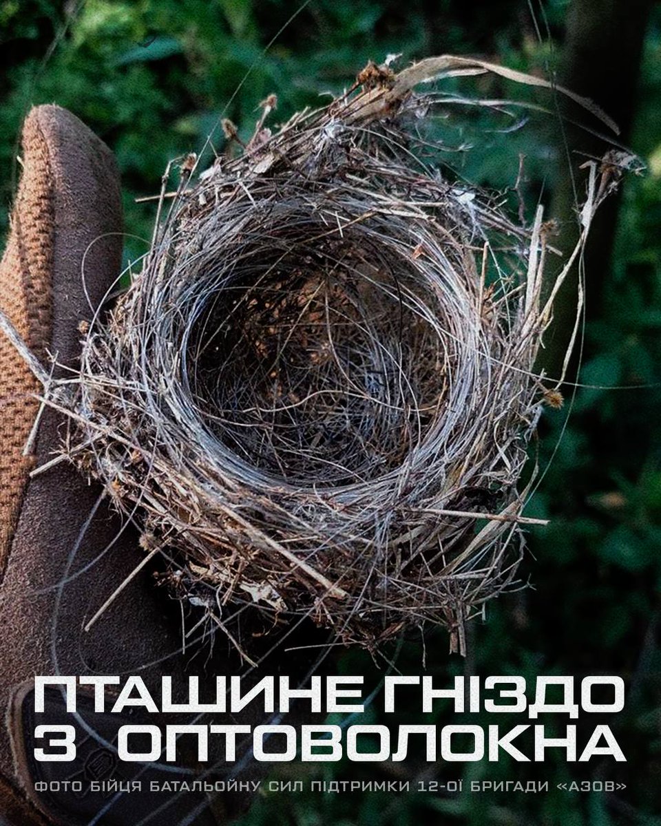 Adaptation of nature to war
One of the abandoned nests was found by 🇺🇦 soldier. The birds had mixed natural and synthetic materials.

This is just one of examples of how nature survives in the flames of war.

📷: Azov Brigade