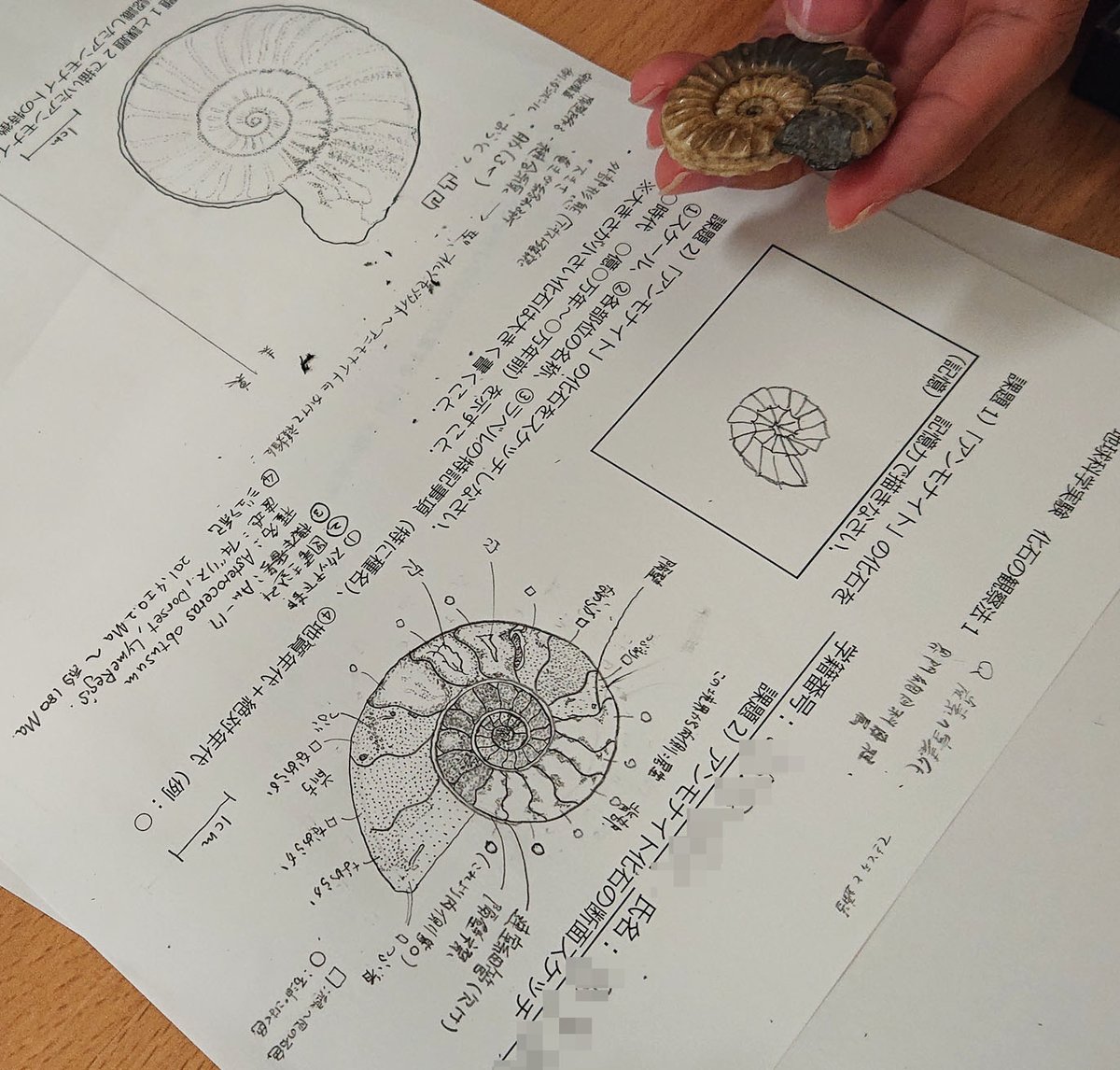 earthscience_uf's tweet photo. 【学生実験】本日の2年生「地球科学実験」の様子です。2グループに分けて2部屋で実施。Aグループは「火成岩の偏光顕微鏡観察」、Bグループは「化石の肉眼観察」に取り組みました。皆さん熱心にスケッチしていました。単なるお絵描きではなく観察力を養うトレーニングです。 https://t.co/nsmEL6V0X4