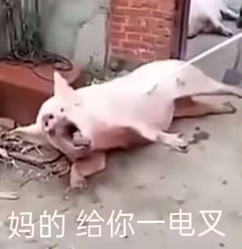 突然想到 我可能其实是个外向的人
不爱出门只因为体能太差了
各种行为是符合歪曲后自我认知的表演
把自己都骗了
