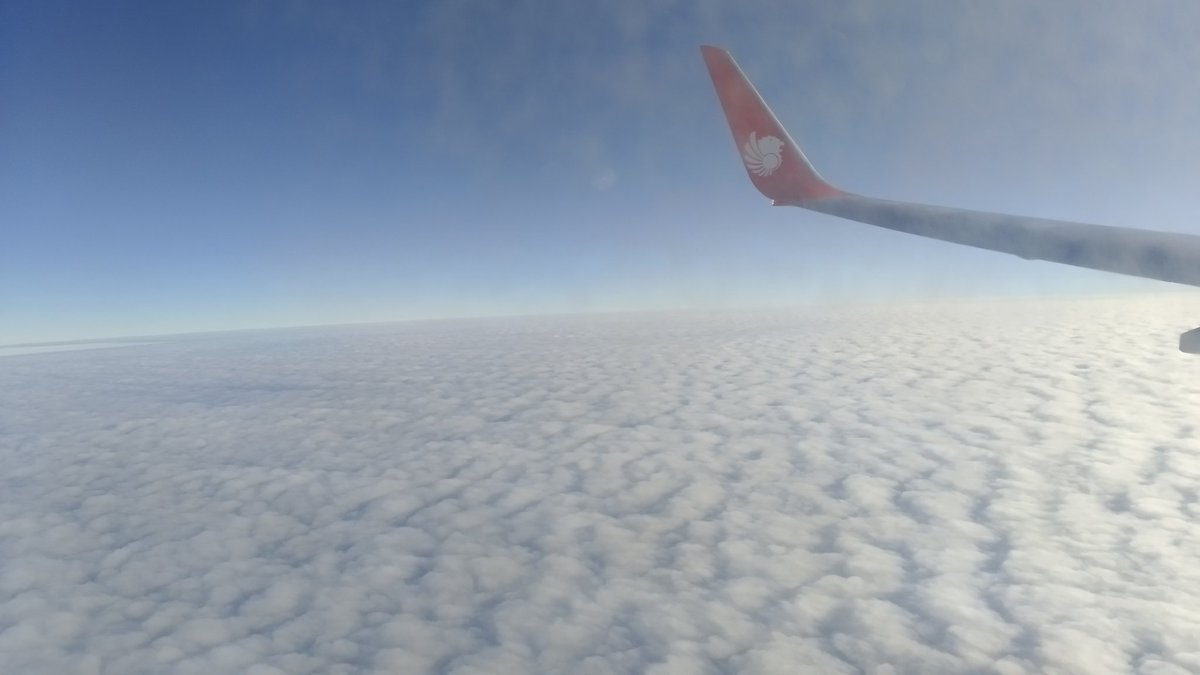 sea of clouds ☁️☁️☁️