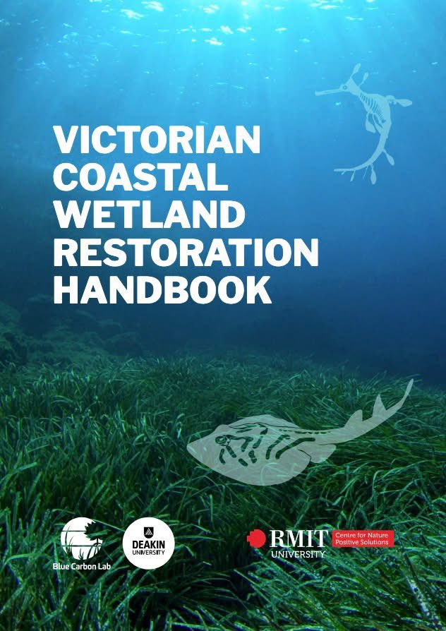 Planning a wetland project?
We’re proud to launch the Victorian Coastal Wetland Restoration Handbook — a go-to resource for anyone working to restore blue carbon ecosystems in southeastern Australia.

📘 Download the handbook: bluecarbonlab.org/wp-content/upl…