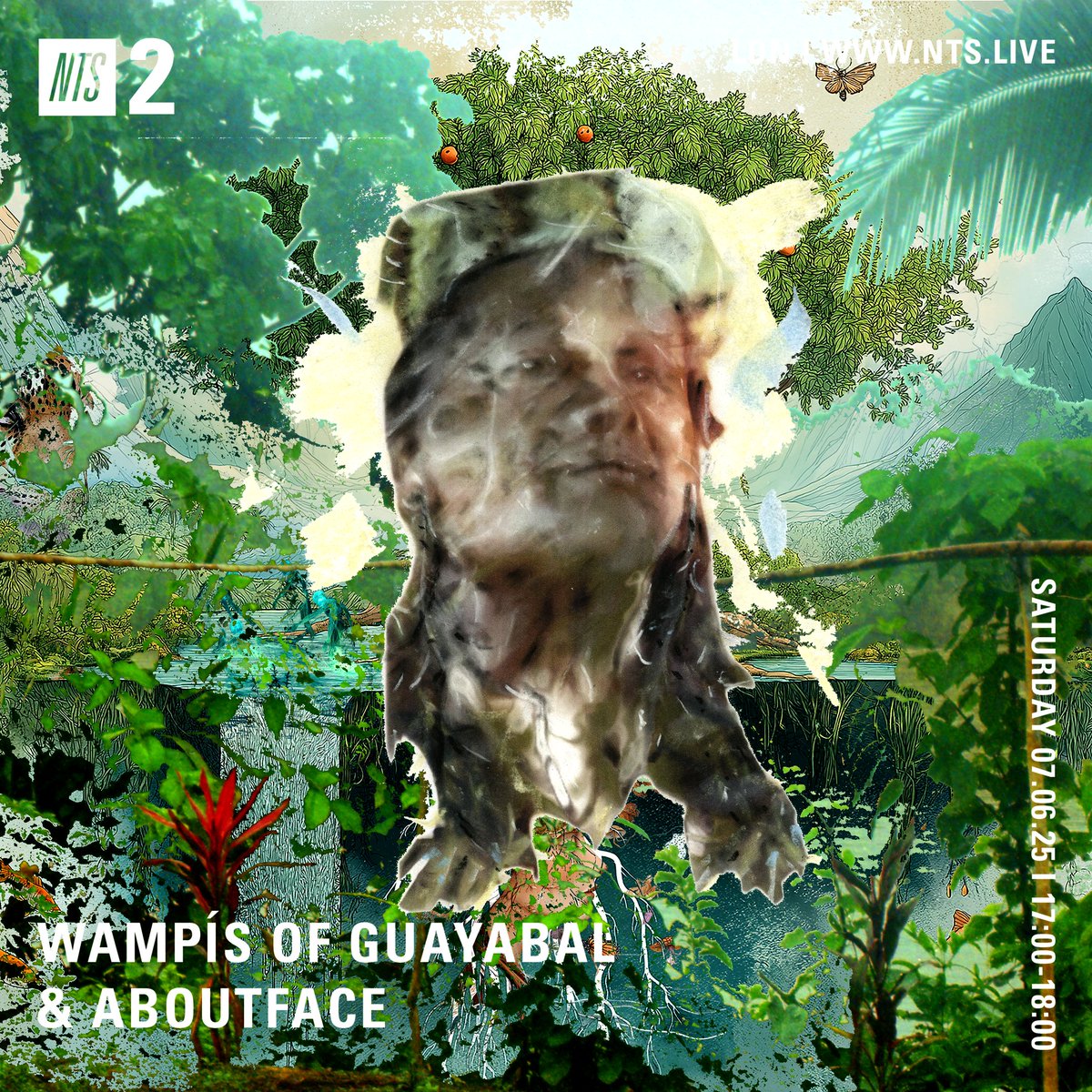 Size of Wales | Maint Cymru tweet media