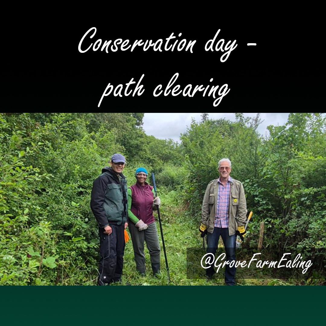 GroveFarmEaling's tweet image. We just cleared a path at Grove Farm—making it easier for walkers and mowers! Check out our pics and join us next time to help keep our local nature reserve thriving. Everyone welcome! 🌳✨
#FriendsOfGroveFarm #conservation #volunteers