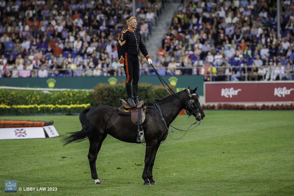 An Eventful Life Update - mailchi.mp/an-eventful-li…