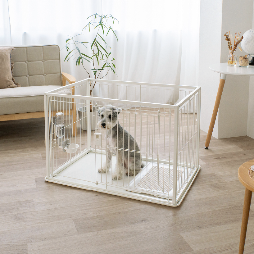 リッチェル tweet media