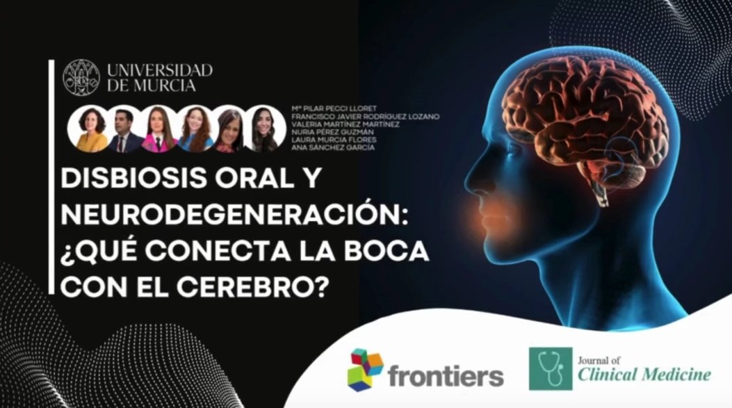 UMU Divulga (@umudivulga) on Twitter photo 📰NOTICIA | Dos estudios de la <a href="/UMU/">Universidad Murcia</a> vinculan la salud oral con enfermedades neurodegenerativas🧠
💡La salud de nuestra boca podría estar más conectada con el cerebro de lo que se pensaba👄
Descúbrelo aquí👇
um.es/web/ucc/-/dos-…
<a href="/FECYT_Ciencia/">FECYT</a> <a href="/CienciaGob/">Ministerio de Ciencia, Innovación y Universidades</a> 📰NOTICIA | Dos estudios de la <a href="/UMU/">Universidad Murcia</a> vinculan la salud oral con enfermedades neurodegenerativas🧠
💡La salud de nuestra boca podría estar más conectada con el cerebro de lo que se pensaba👄
Descúbrelo aquí👇
um.es/web/ucc/-/dos-…
<a href="/FECYT_Ciencia/">FECYT</a> <a href="/CienciaGob/">Ministerio de Ciencia, Innovación y Universidades</a>