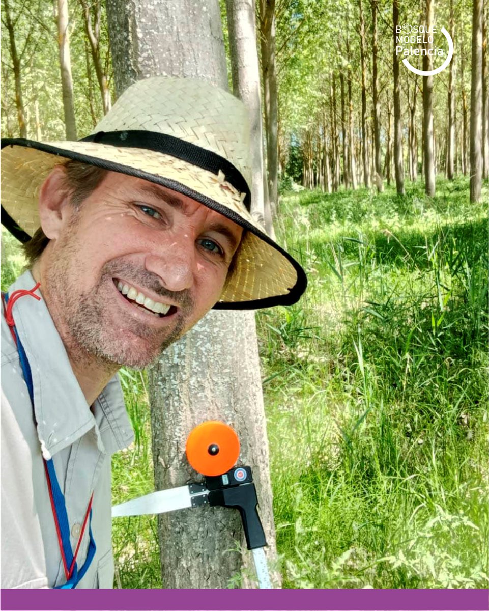 Proy_BMPalencia's tweet image. Avanzamos en la A2 / Planificación: prevención, movilización y conservación 

Ignacio Fosco de @fafcyle trabaja planificando choperas, uno de los recursos forestales renovables identificados en el territorio del @BMPalencia

@FBiodiversidad  #ProyectosPRTR #NextGenerationEU