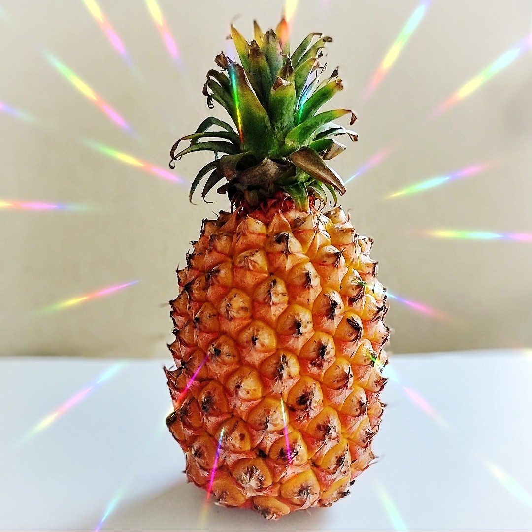 カットフルーツ フィリピン産 パインブロック🍍 #パイン #パイナップル