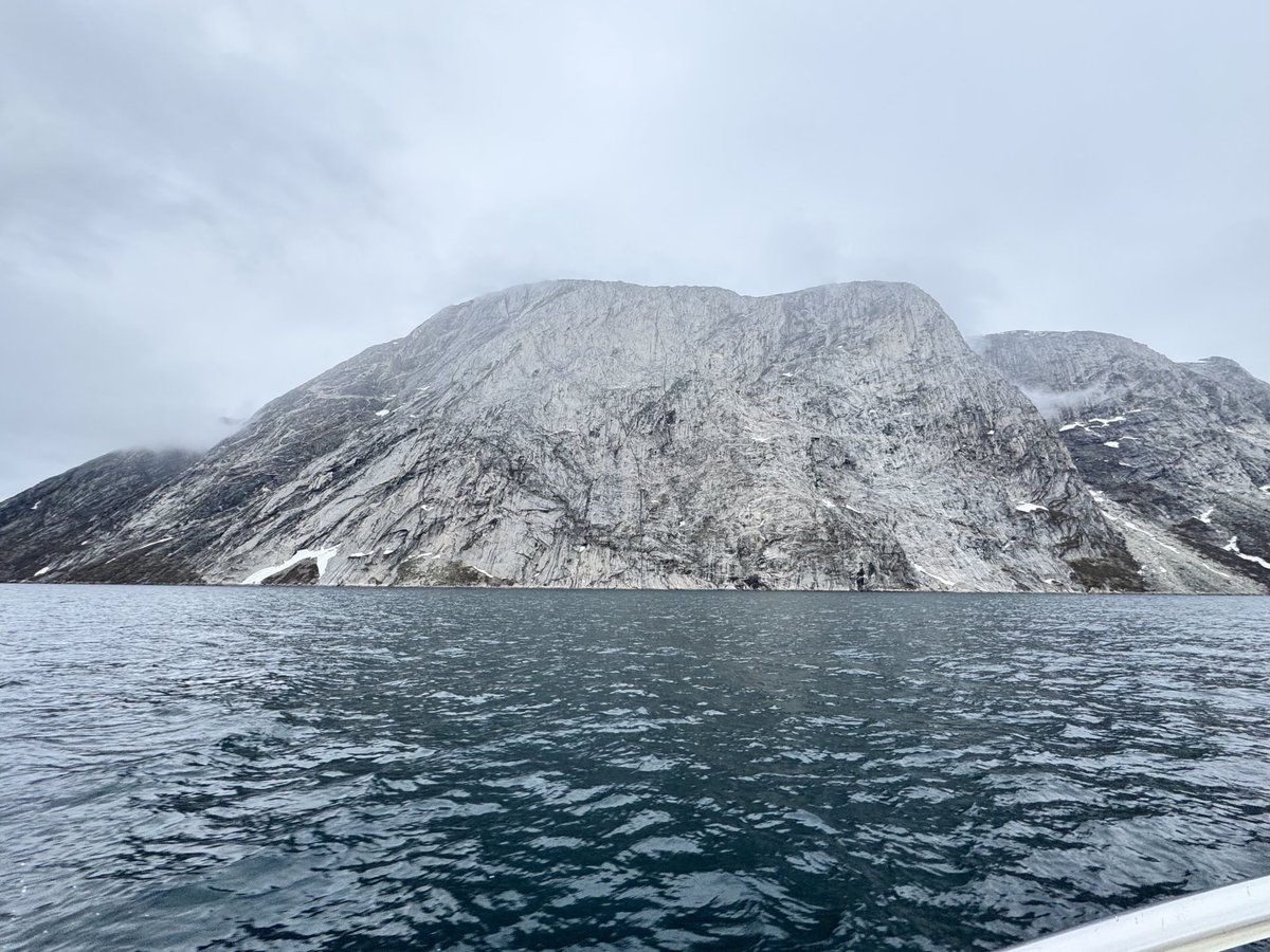 Judith Zoltán tweet media