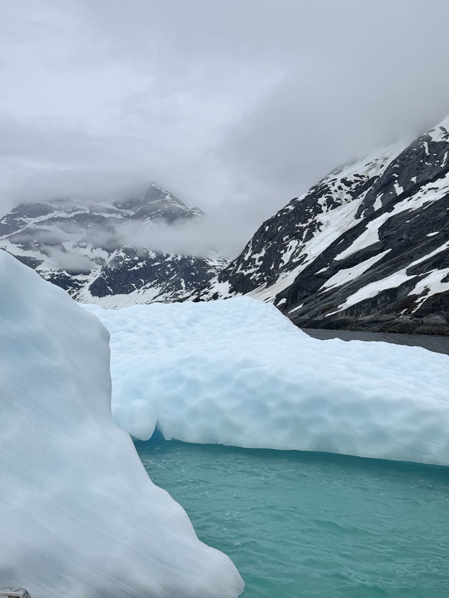 Judith Zoltán tweet media