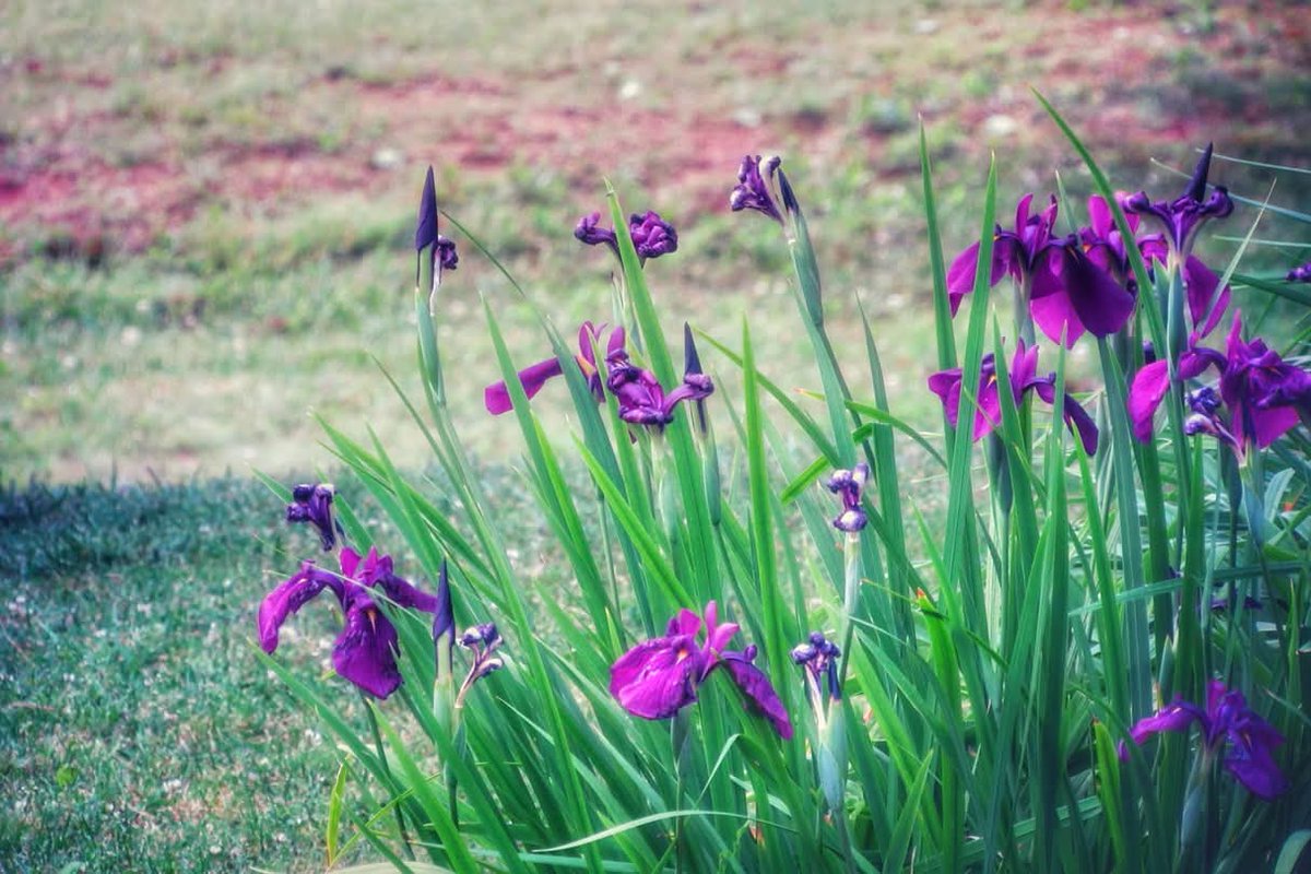 Happy weekend💜