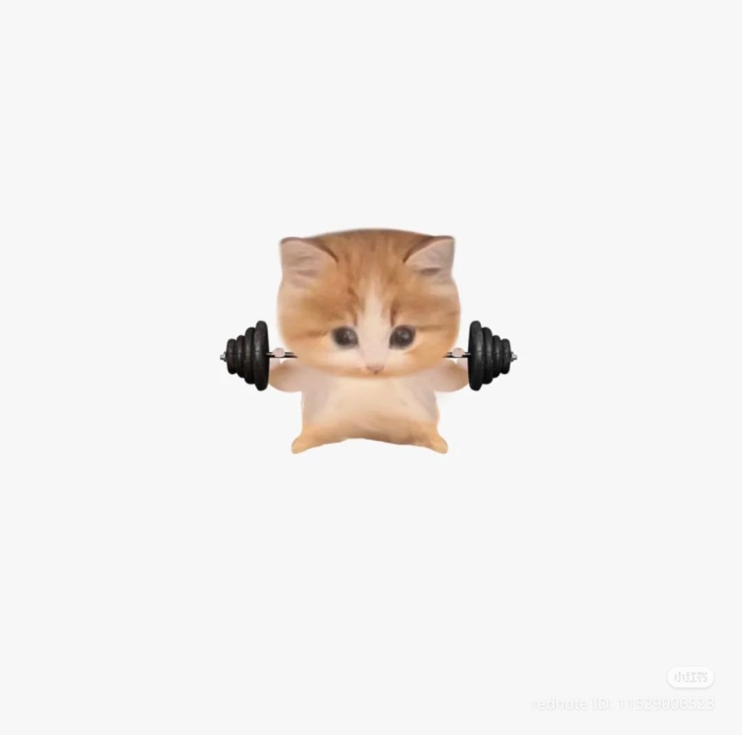 /ᐠ - ˕ -マ tweet media