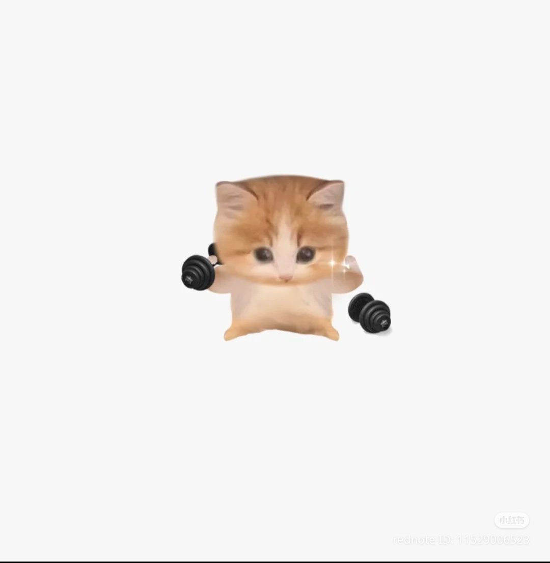 /ᐠ - ˕ -マ tweet media