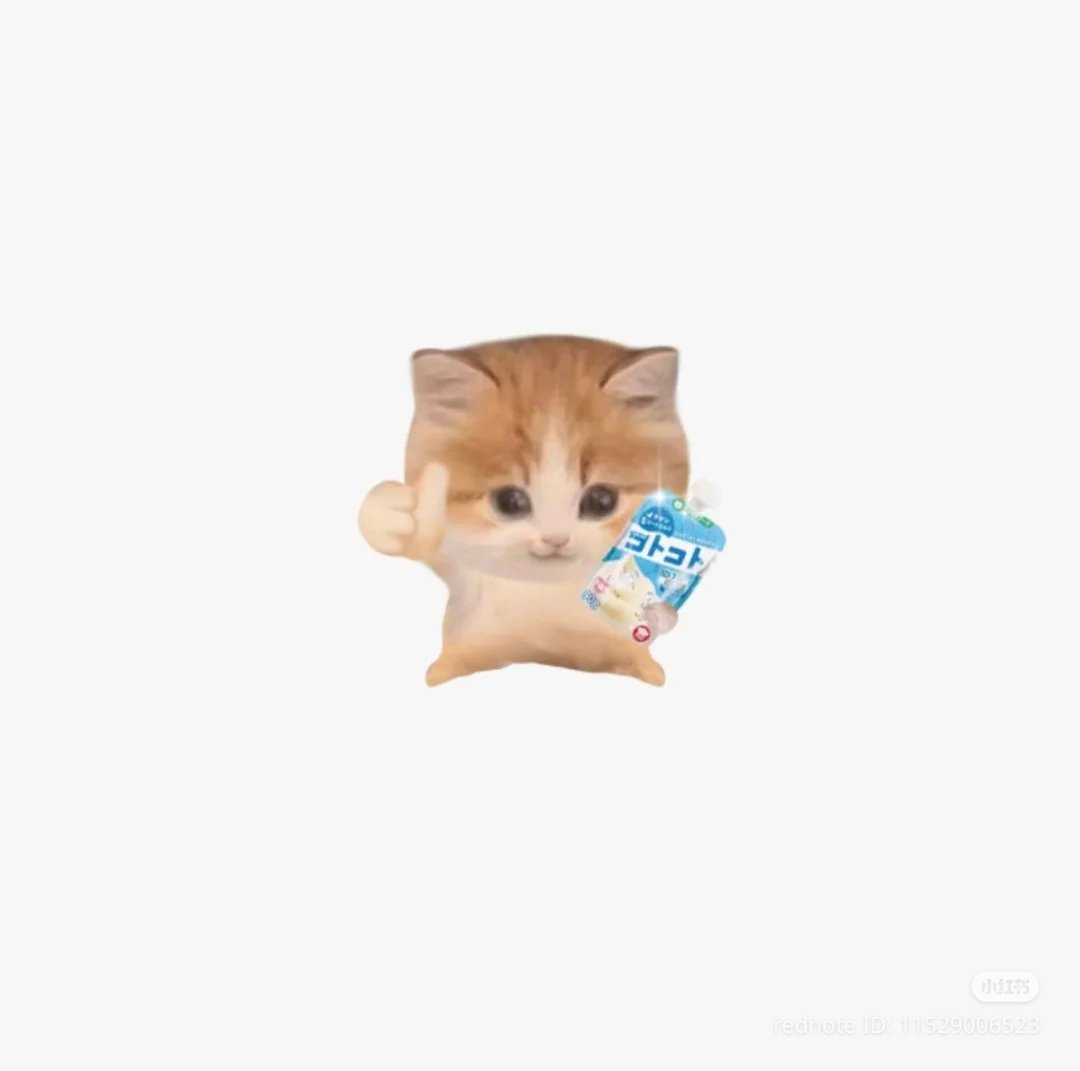 /ᐠ - ˕ -マ tweet media