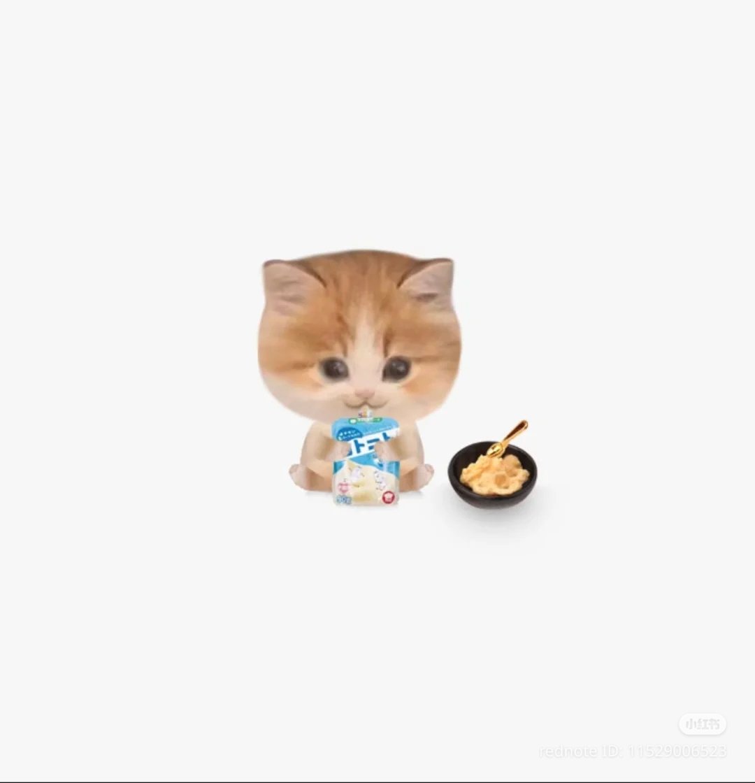 /ᐠ - ˕ -マ tweet media