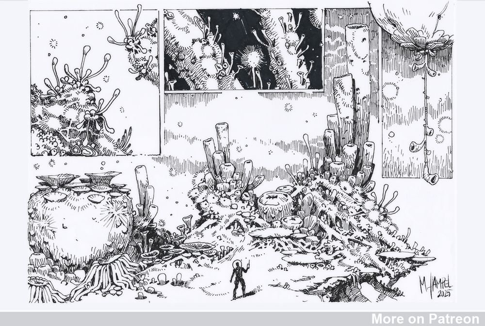 inkpen drawings of some exoplanet flora