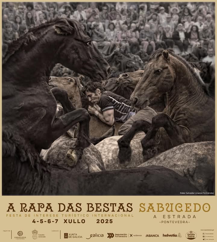 #RapadasBestas #Sabucedo 🐎
#GaliciaInfinita 🤍🩵