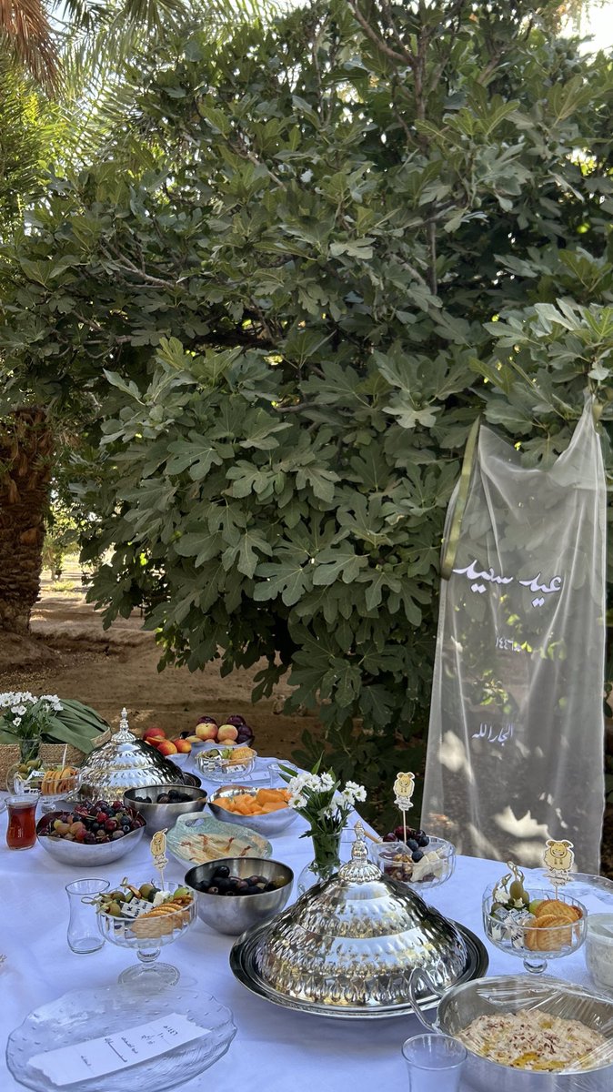 شكل أعياد المزرعه🌴☀️🪄