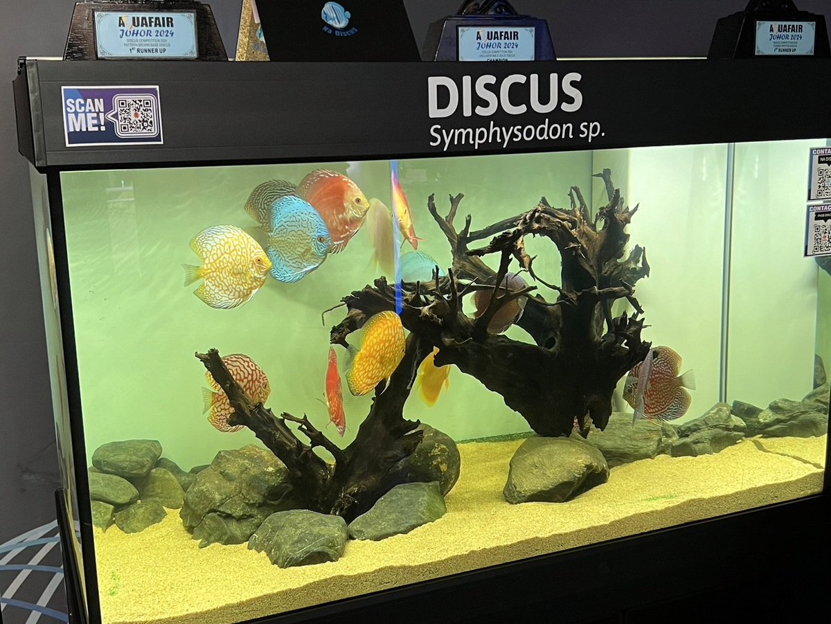 Naka58316413's tweet image. 上の息子が会社の旅行で万博に行ってるのでマレーシア館に行って写真撮って来てとお願いしたが興味なく拒否られてましたけど、きっちり行って写真撮って私に送ってくれました🌿
嬉しい父親はさっそくポストしてます😆
#大阪・関西万博 
#ﾈｲﾁｬｰｱｸｱﾘｳﾑ