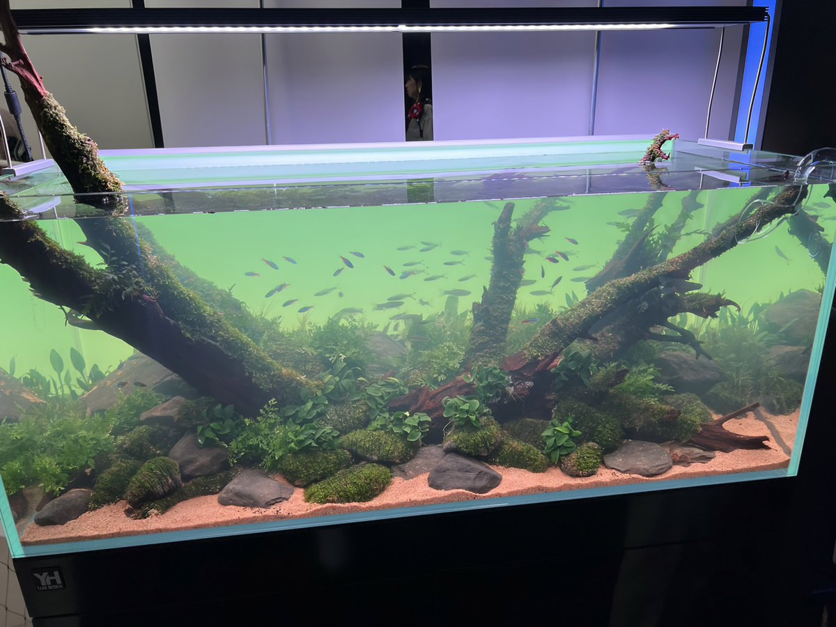 Naka58316413's tweet image. 上の息子が会社の旅行で万博に行ってるのでマレーシア館に行って写真撮って来てとお願いしたが興味なく拒否られてましたけど、きっちり行って写真撮って私に送ってくれました🌿
嬉しい父親はさっそくポストしてます😆
#大阪・関西万博 
#ﾈｲﾁｬｰｱｸｱﾘｳﾑ