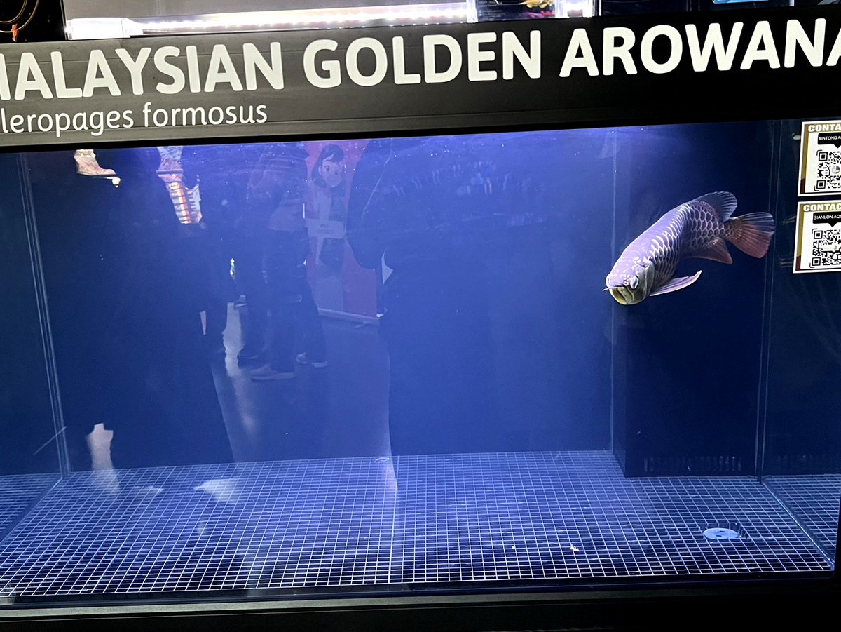 Naka58316413's tweet image. 上の息子が会社の旅行で万博に行ってるのでマレーシア館に行って写真撮って来てとお願いしたが興味なく拒否られてましたけど、きっちり行って写真撮って私に送ってくれました🌿
嬉しい父親はさっそくポストしてます😆
#大阪・関西万博 
#ﾈｲﾁｬｰｱｸｱﾘｳﾑ