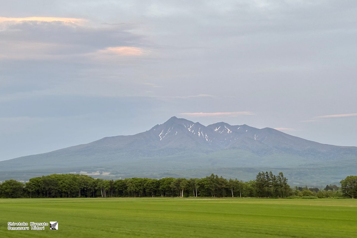 今日の斜里岳さん🧸⛰️✨☁️