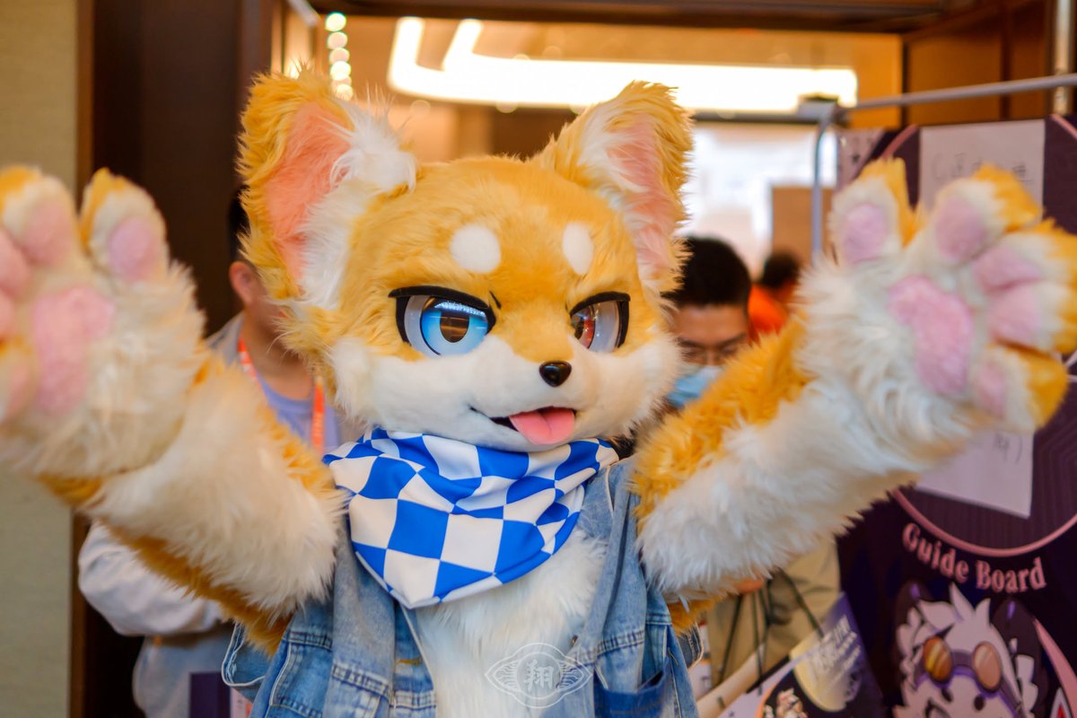 嘻嘻
来抱一个
#FursiutFriday