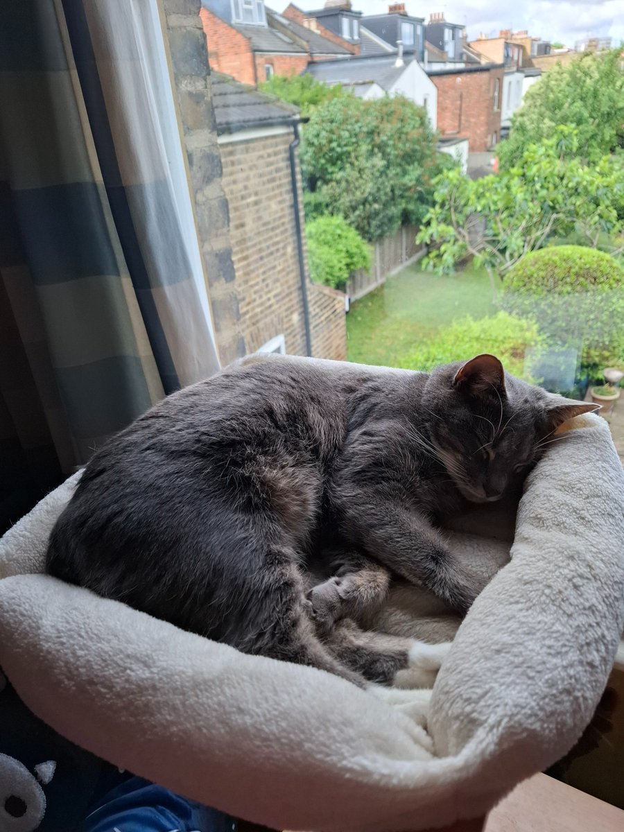 as she listens to a podcast review of a film called Cannibal Mukbang