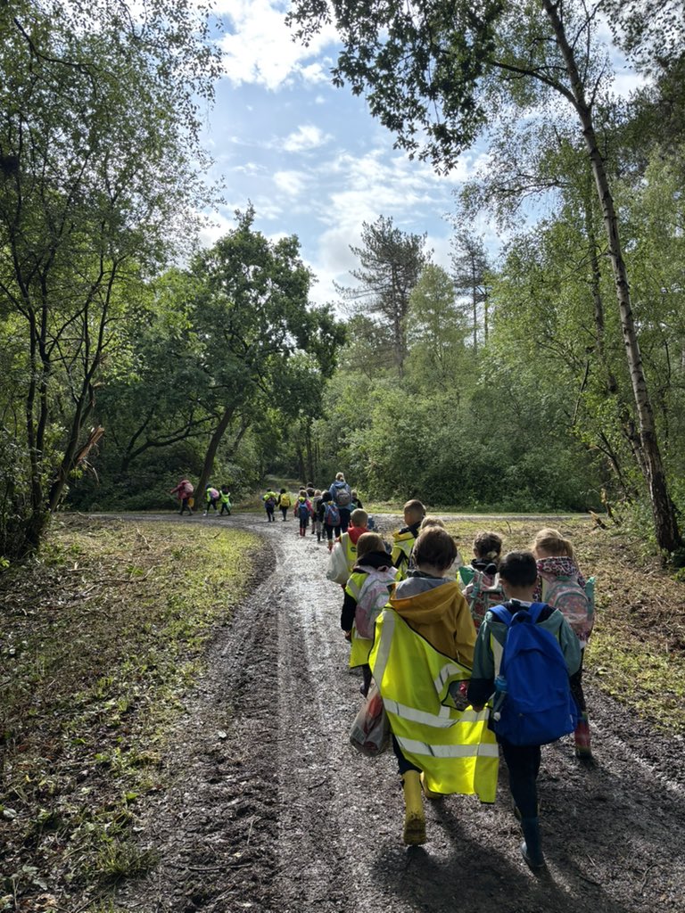 A beautiful morning to explore the new forest school site.