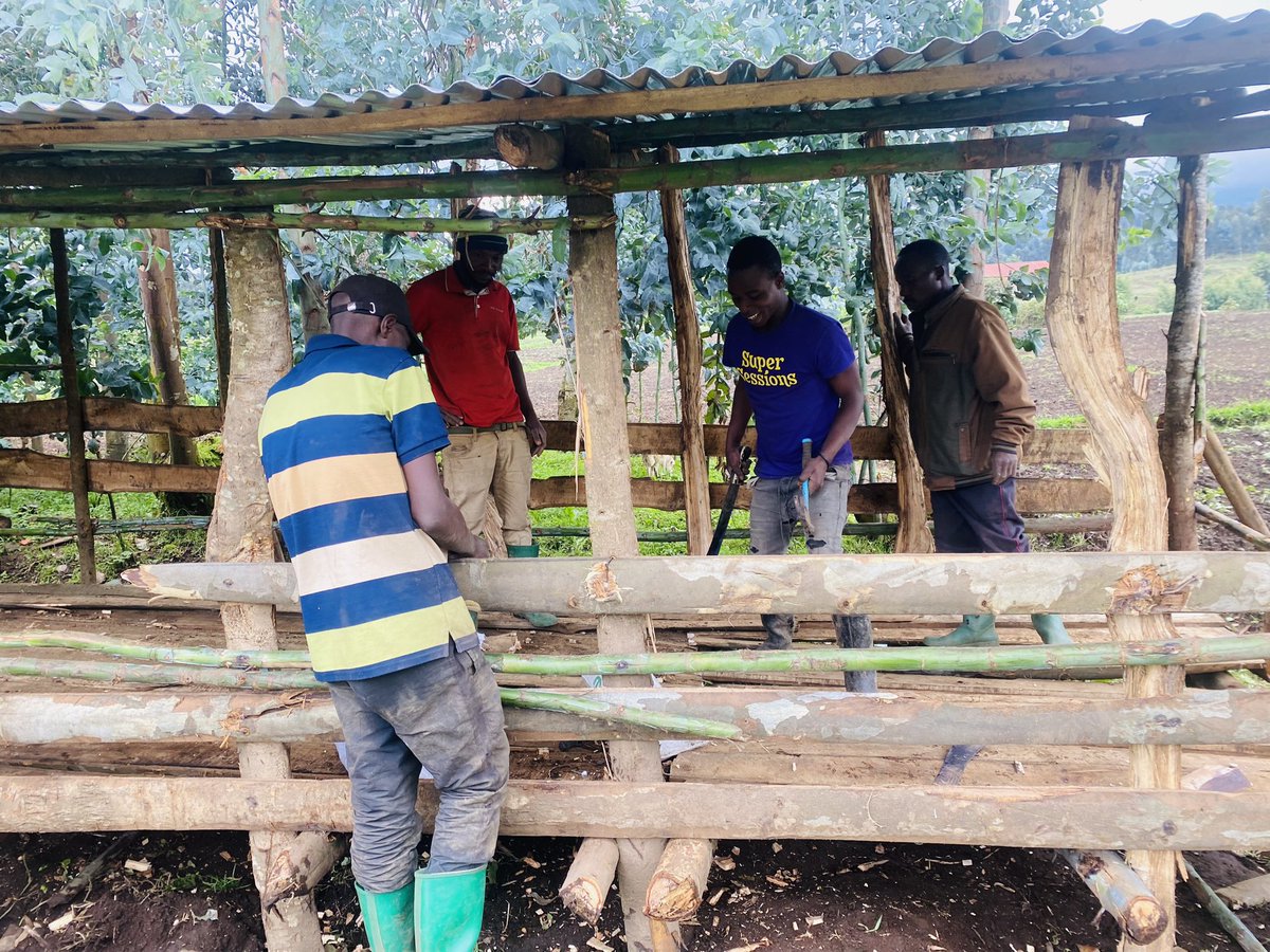Masengesho Felicien (@feli1felicien) on Twitter photo Huge thanks to <a href="/CorpsAfricaRda/">CorpsAfrica/Rwanda</a> for equipping me and youth with life-changing skills in development! It’s exciting to see real impact in my community. The youth are inspired, and together, we’re turning ideas into action. Changes has begun . Huge thanks to <a href="/CorpsAfricaRda/">CorpsAfrica/Rwanda</a> for equipping me and youth with life-changing skills in development! It’s exciting to see real impact in my community. The youth are inspired, and together, we’re turning ideas into action. Changes has begun .