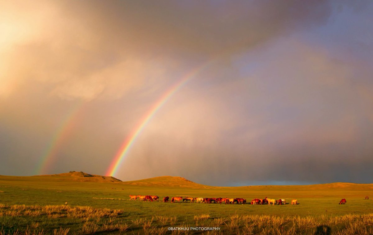 Архангай Эрдэнэмандал сум
Via:Batkhuu