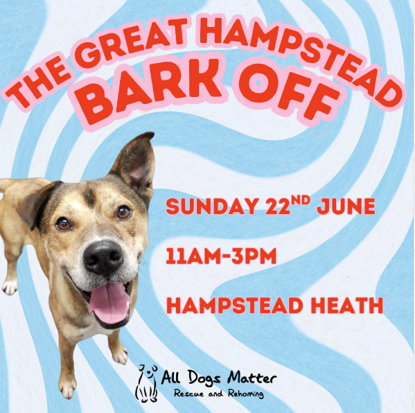 Excited to be sponsoring the Great Hampstead Bark Off dog show organised by @alldogsmatter  🐕🌞 We can't wait to see all dogs (and their humans) at Parliament Hill Cricket Pitch on Sunday the 22nd June 11am-3pm #AllDogsMatter #ProudlyVillageVet #ProudlyLinnaeus