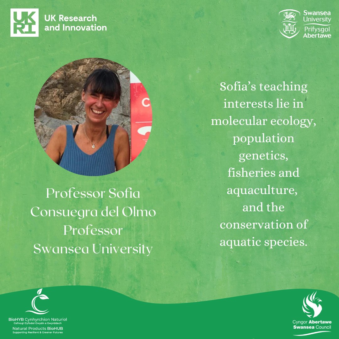 SwanseaBioHUB's tweet image. NP BioHUB - Directory Of Expertise 📚

Learn #ecology with Professor Sofia Consuegra Del Olmo!

Areas of expertise:
🌍 Evolutionary ecology
🧬 Conservation genetics/omics
🐟 Fisheries &amp;amp; aquaculture
🐛 Invasive species

Meet Sofia &amp;gt;&amp;gt; bit.ly/4mDK3xV

#NaturalProducts