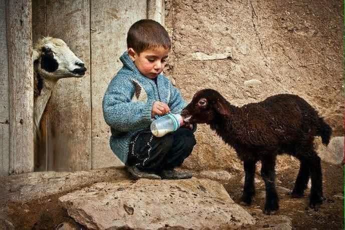 ہر وہ سوچ خوبصورت ہے جو انسانیت کو اپنی ترجیحات میں سر فہرست رکھے
