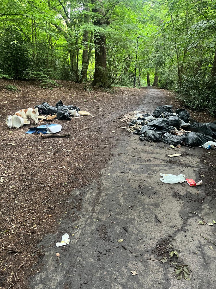 Anneke VanWoudenberg tweet media